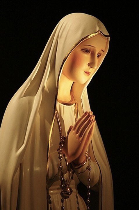 Qué la Santísima Virgen María nos  acompañe a todos a lo largo de todo este año 2026
🙏🏻