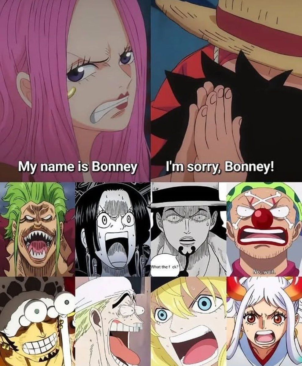 One Piece Daily tweet media