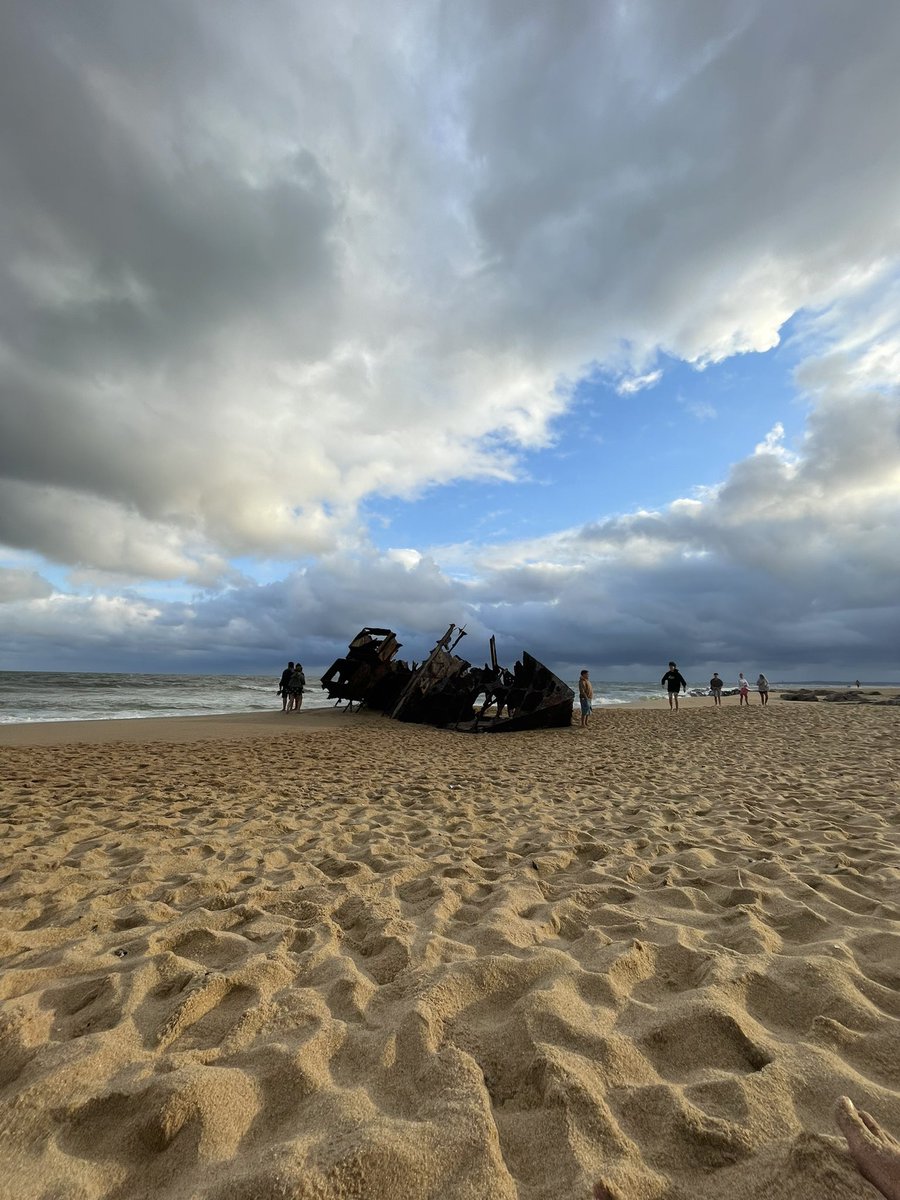 Soledad Acuña tweet media