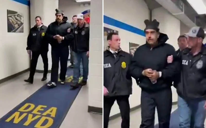 Hamilton Morris tweet media