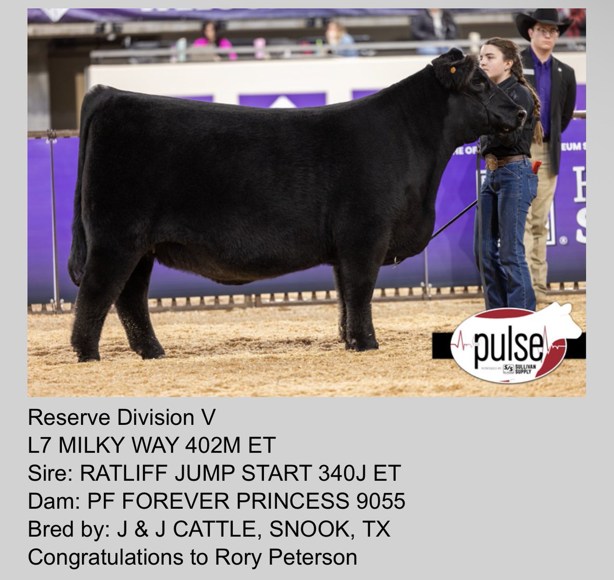 mattlautner's tweet image. #OKC #Limousin #Jumpstart #MLCSires