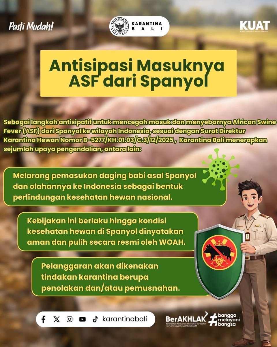 🚫 STOP! 
Daging Babi dari Spanyol Dilarang Masuk! 🐷🚫

#badankarantinaindonesia 
#karantinabali