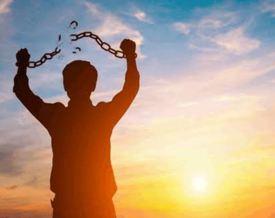 Mr.Obvious tweet media