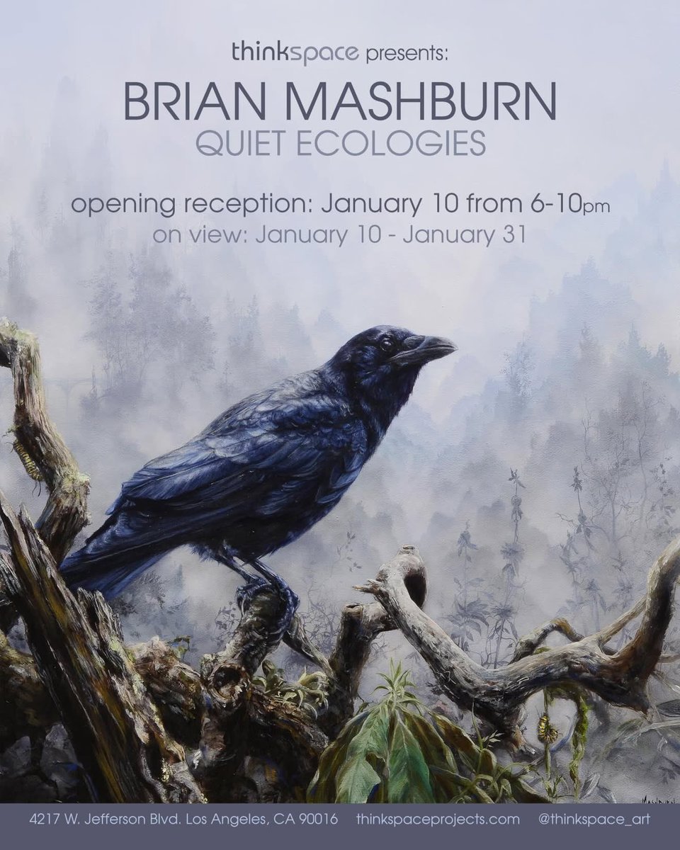 Thinkspace Projects tweet media