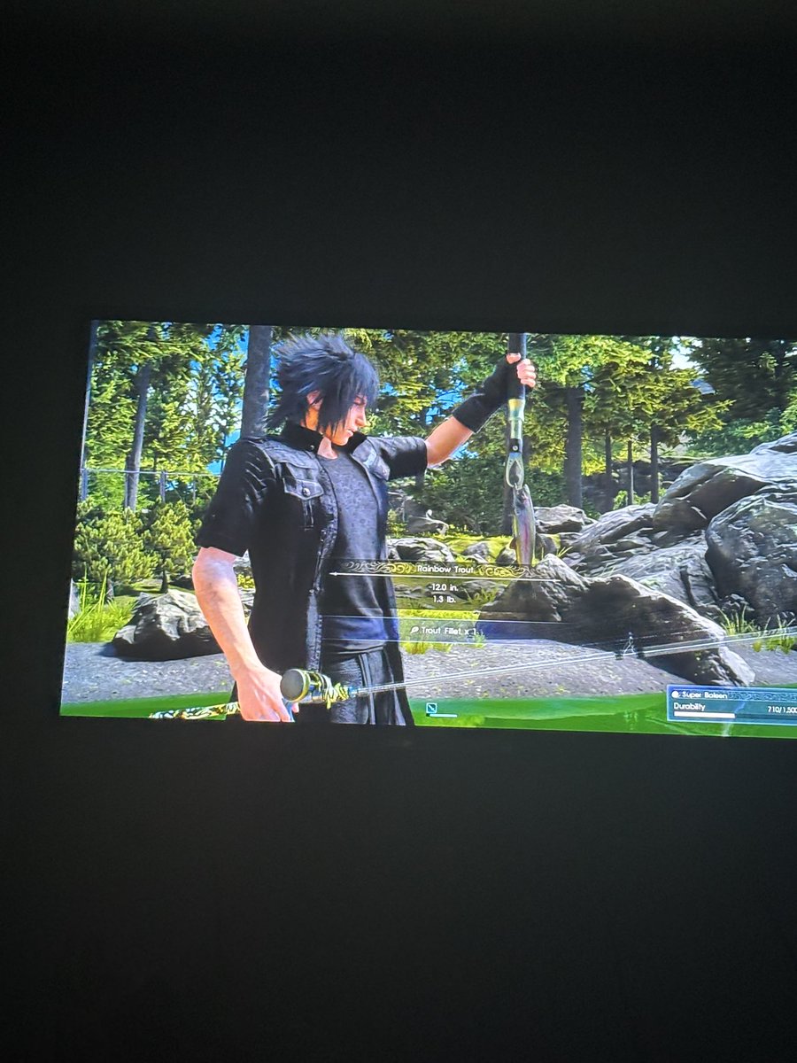 ✩ jaz 🦋 tweet media