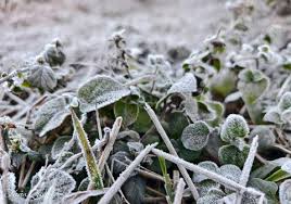 Life2See's tweet image. Lạnh để thấy hơi ấm quý giá nhường nào. #Umi @Pact_Swap @_technotainment @YOM_Official