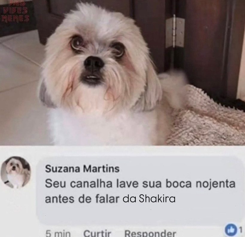 ShakJuridico's tweet image. todos cidadãos de bem estão assim hoje
como é bom ver tanta gente se unindo pra defender a shakira