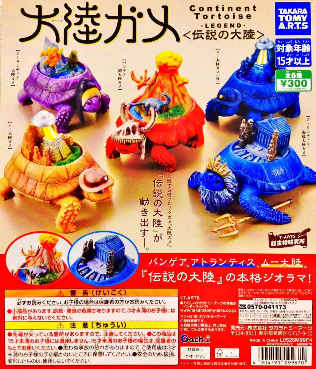 新商品情報～ ・大陸ガメ-タイリクガメ-〈伝説の大陸〉 入荷致しました