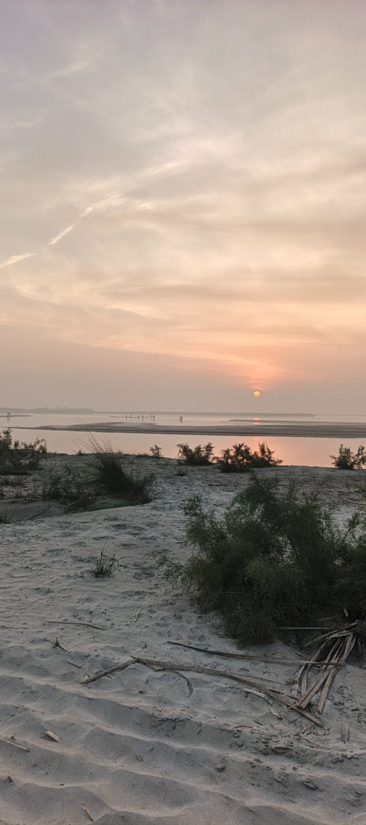 xThatRandomOnex's tweet image. Hii