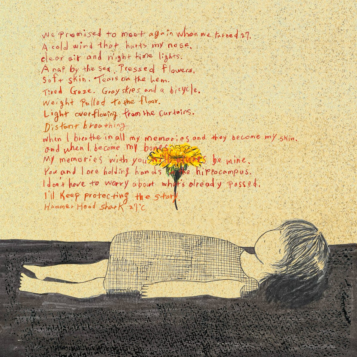 Hammer Head Shark (@h_h_s_band) / Posts / X