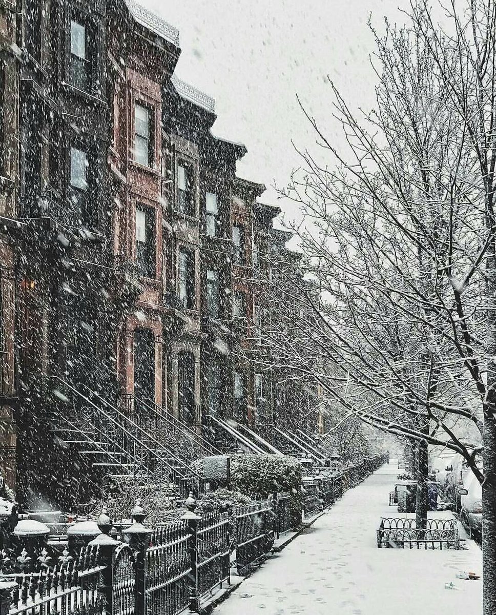 Old World Explorer tweet media