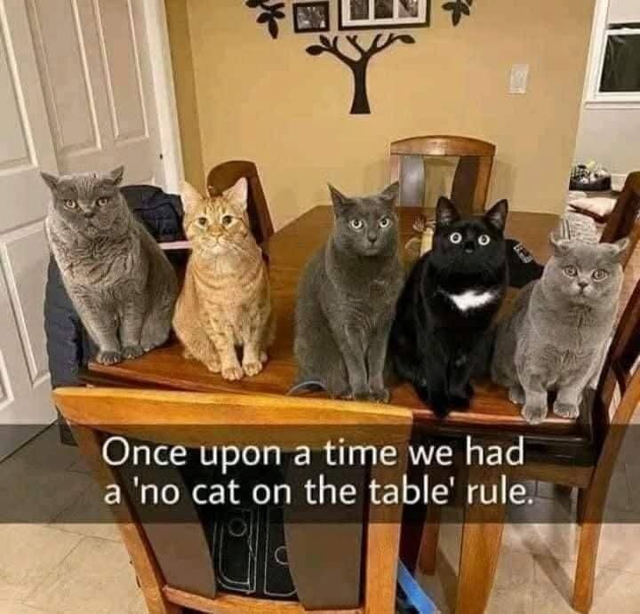 Snotz Casebere tweet media