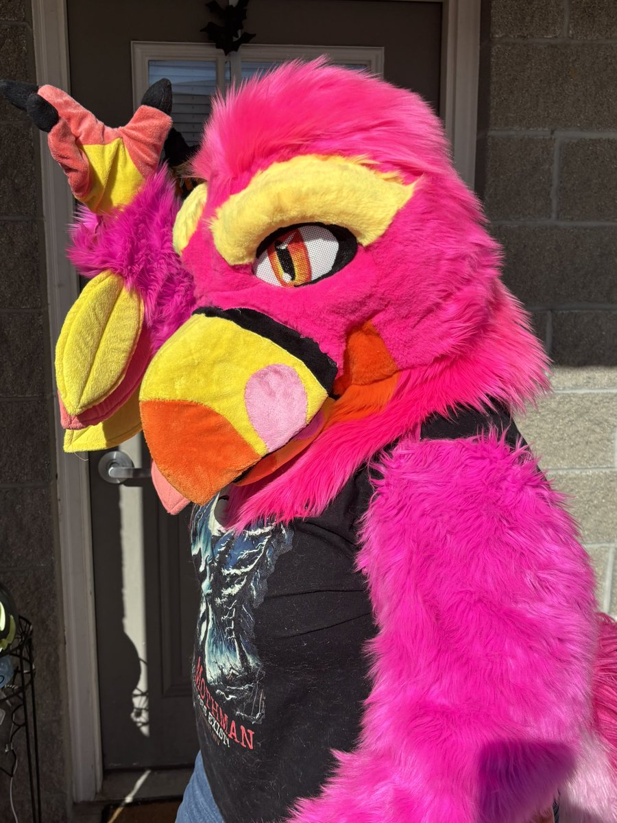 FlamingoFancyFursuits tweet media