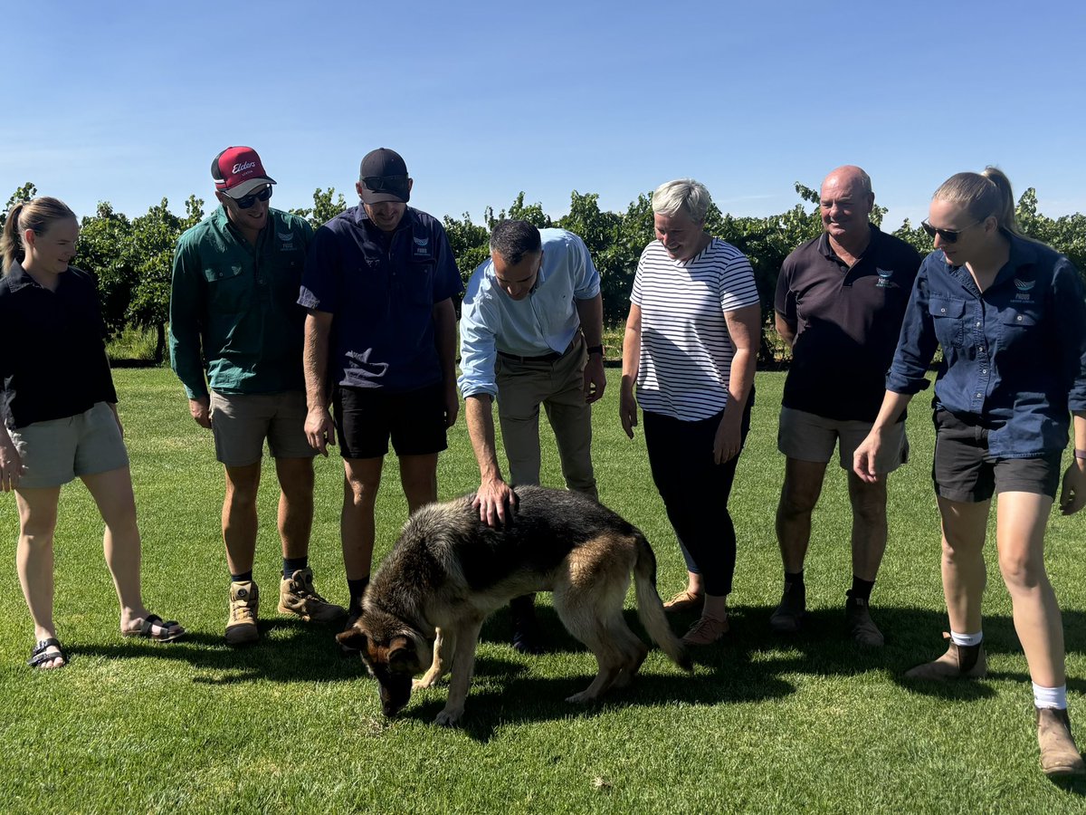 Peter Malinauskas tweet media
