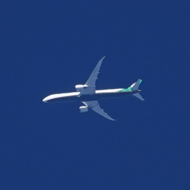 昨日の #エバー航空 連番だ😇 17812はスターアライアンス塗装機