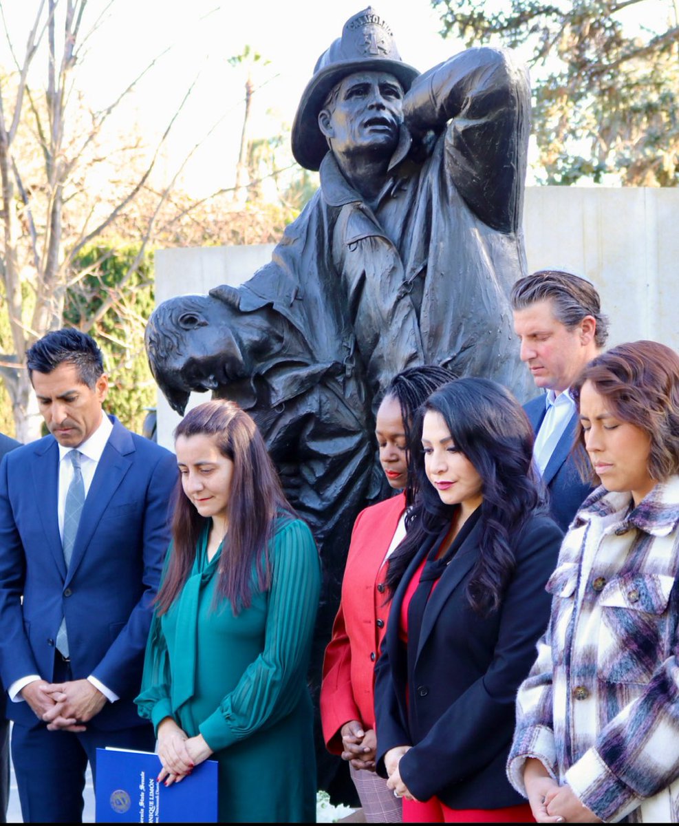 Senator Henry Stern tweet media