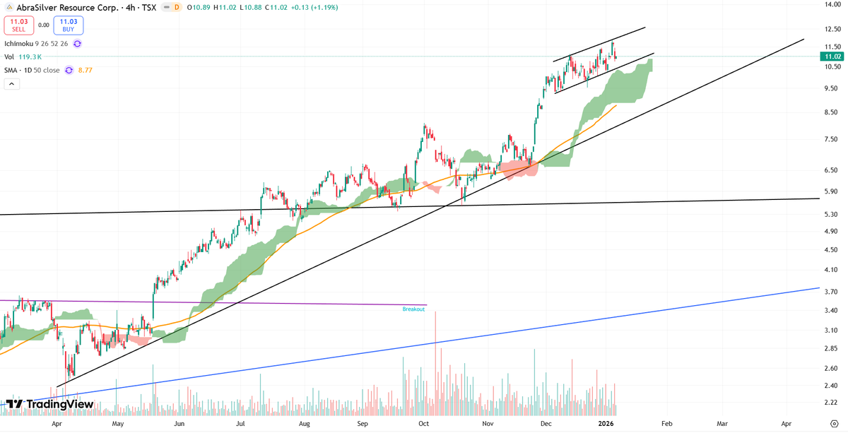 Stoic Silver Bear tweet media