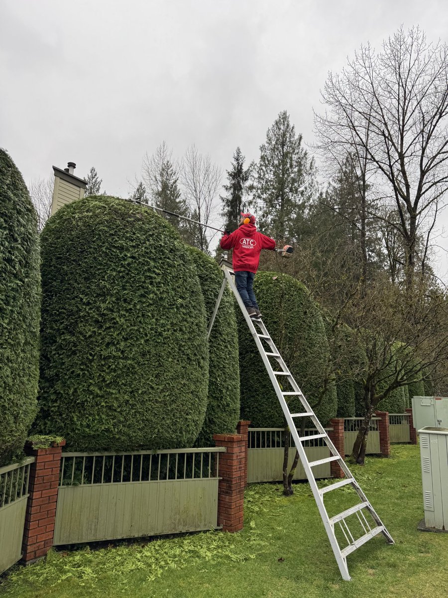 ATC Landscape tweet media