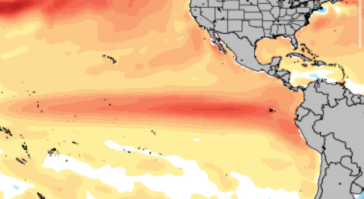 _iclima's tweet image. El posible regreso de #ElNiño 🔥🌡️

Sí, luego del evento considerable de El Niño vivido durante 2023 y los primeros meses de 2024, el consenso de los principales modelos climáticos —entre ellos ECMWF, CanSIPS, CFSv2, NMME, entre otros— sugiere que existe la posibilidad de que El
