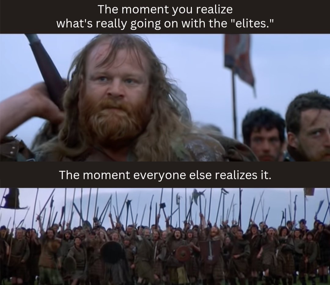 Meme_Warrior_23's tweet image. 