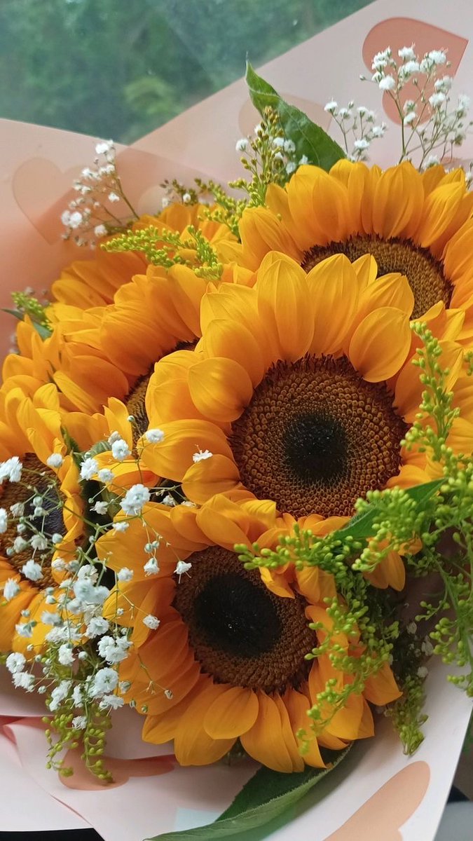 Tag someone who needs sunshine ☀️