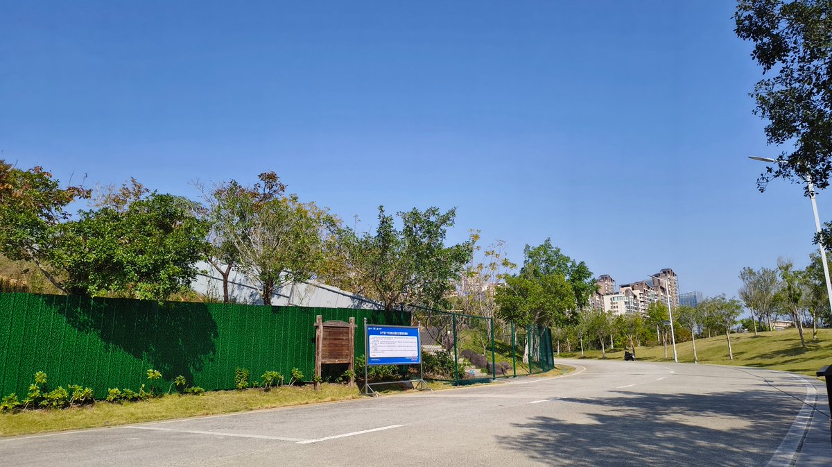 椰子树 tweet media