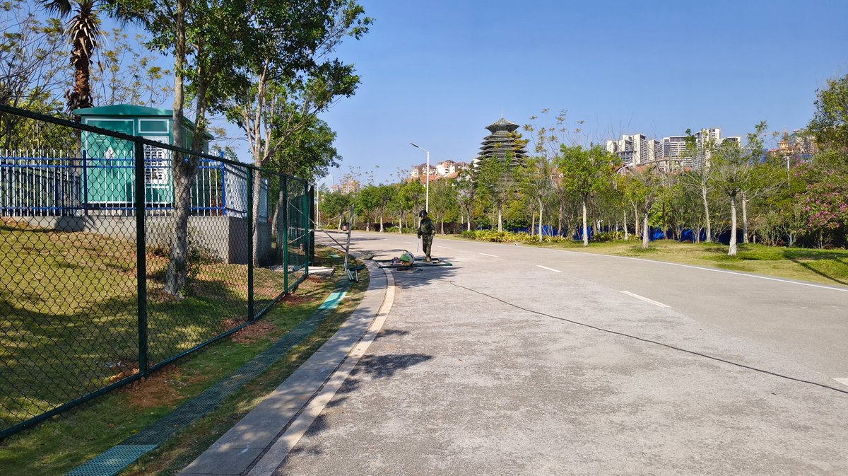 椰子树 tweet media