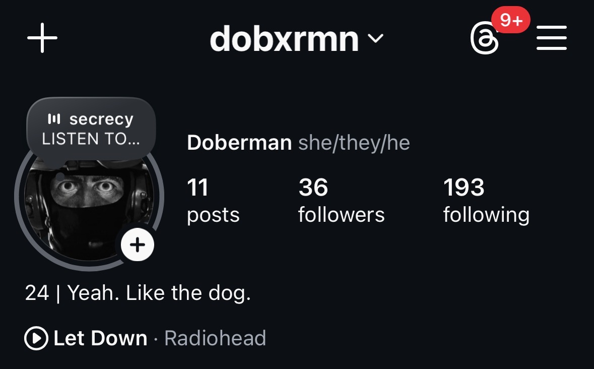 Doberman tweet media