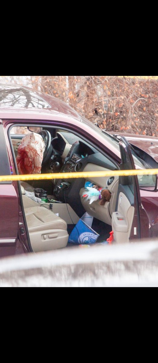 Lo jodidamente loco de que la Gestapo de Trump haya asesinado a una madre con ciudadana americana y sin antecedentes policiales y el gobierno diciendo que están orgullosos y la hayan llamado "terrorista"