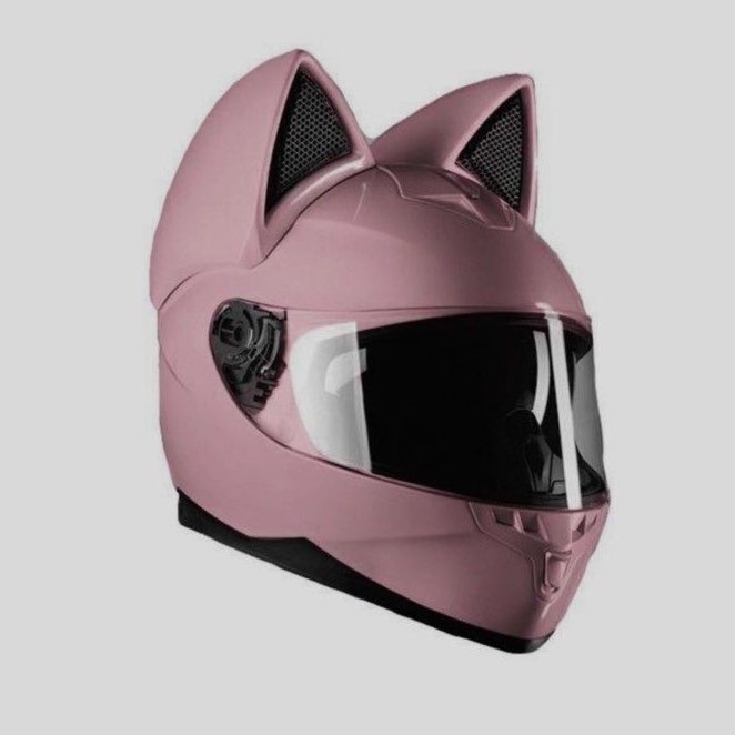 aesttics's tweet image. cat helmets