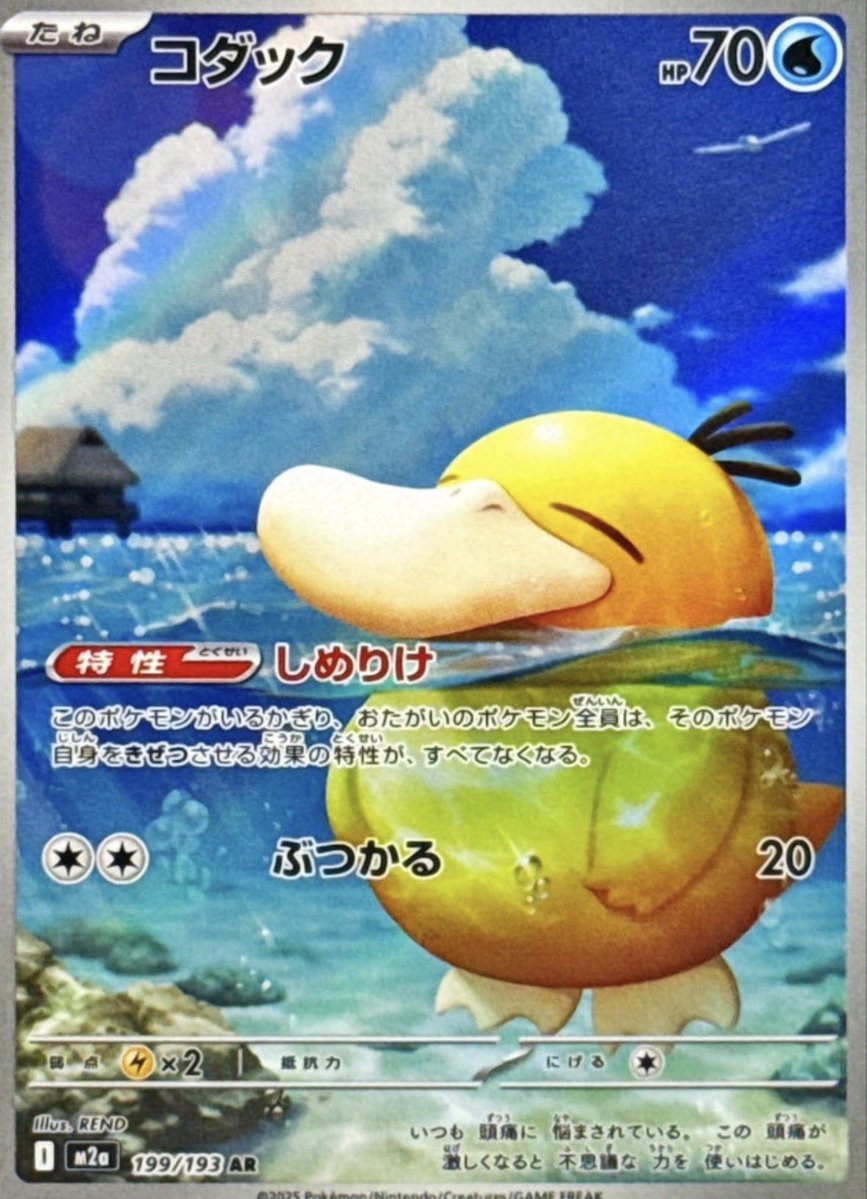 🐥🐰さやか🌷🥞🍁 (@Sayaka_saya_) / Posts / X