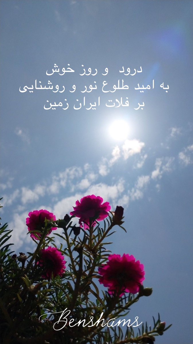 kbenshams's tweet photo. https://t.co/48Ri7SosWT