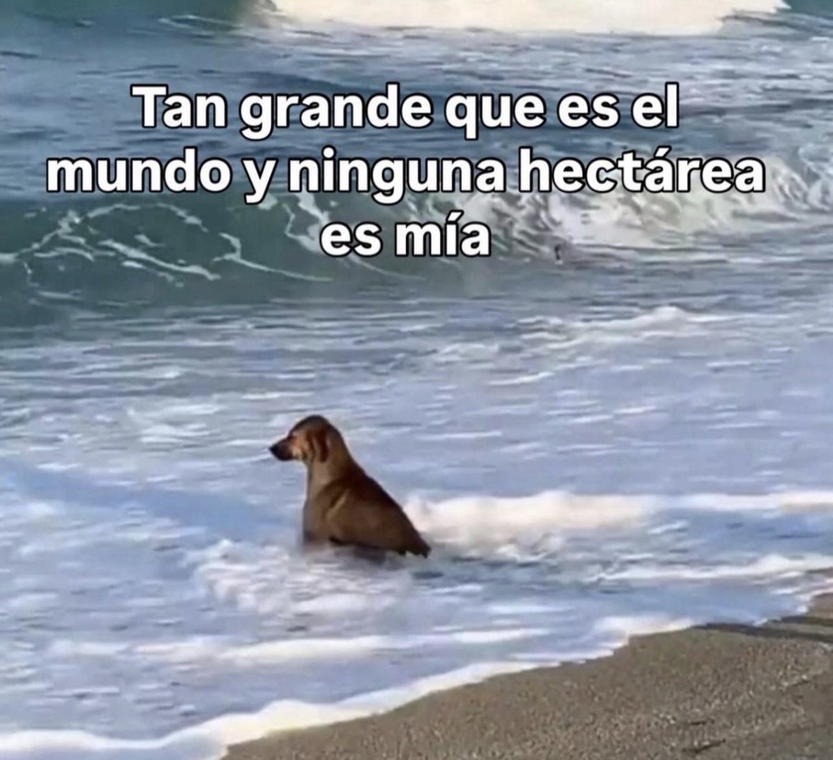 Guarromantico_'s tweet image. No es justo.