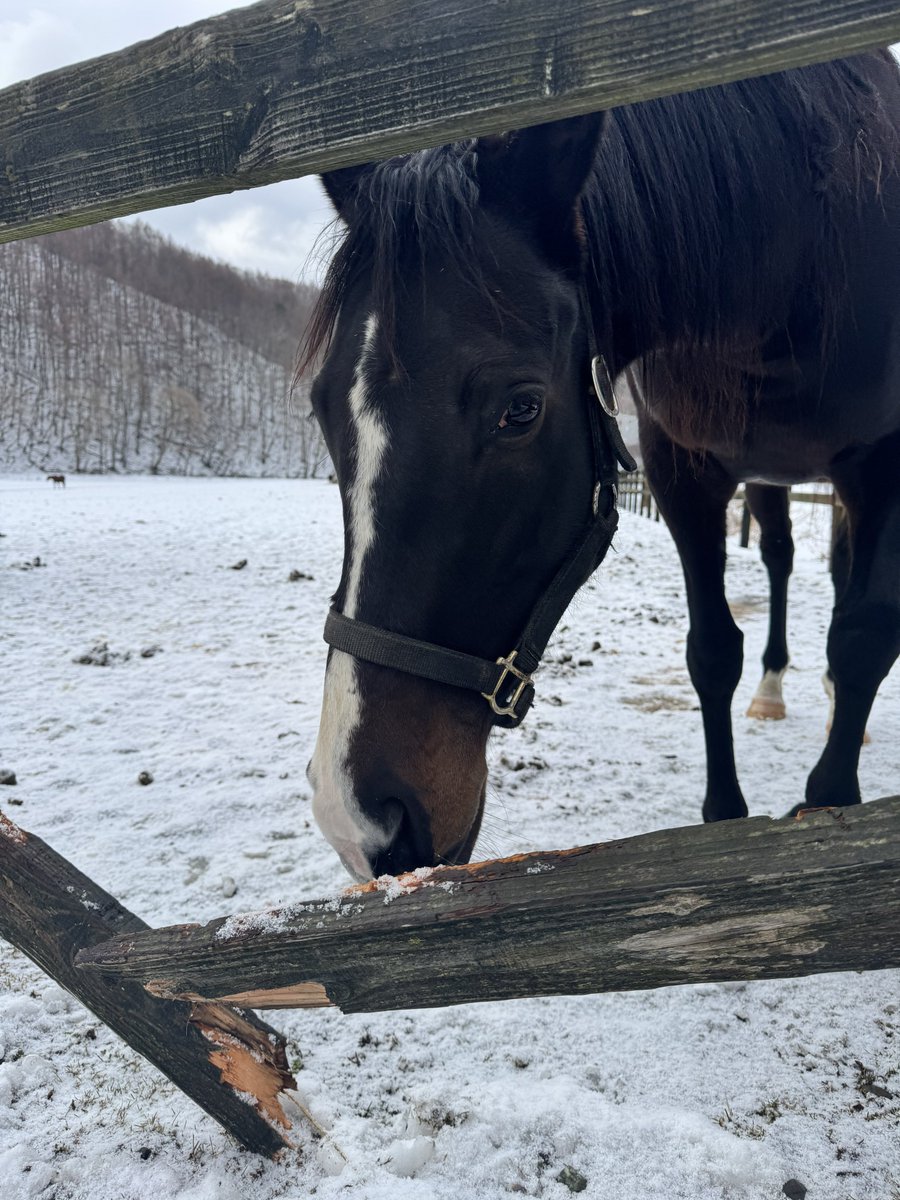 Post by 水無月＠「おはらい箱の天才付与術師」コミックス3巻 1/23(金