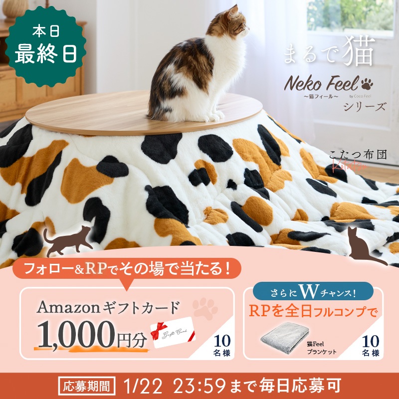 nissen's tweet image. 猫Feel毎日参加キャンペーン♪最終日
10名様にAmazonギフトカード1,000円分

＼還る場所は、猫。／

①このアカウントをフォロー
②この投稿RP（1/22 23:59迄）
③当選者にはすぐDM

Wチャンス!
RPを全日フルコンプした方から抽選で10名様に猫Feelブランケットをプレゼント
後日当選者にDM
