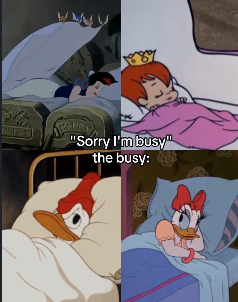 Out Of Context Animals (@animalscontexts) on Twitter photo 