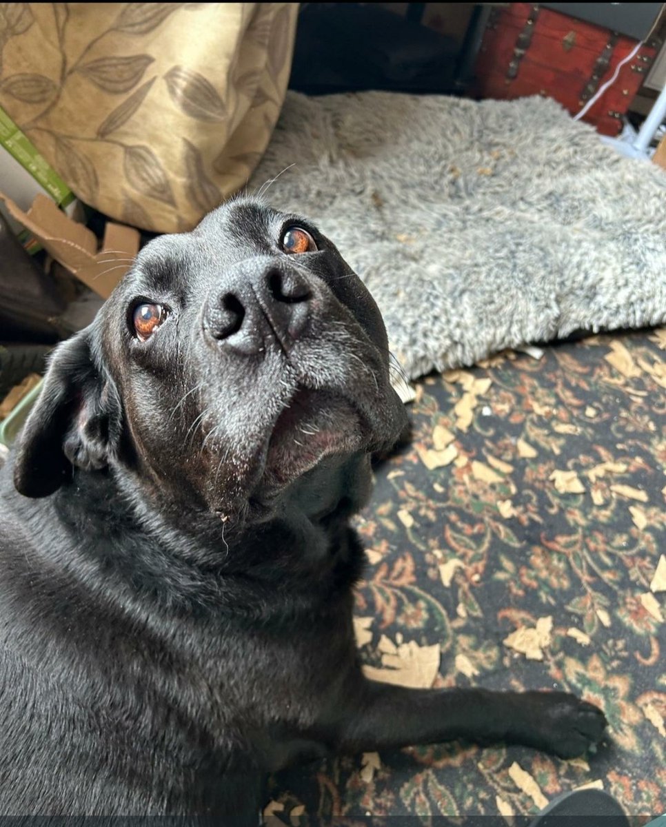 Catherine Monk tweet media