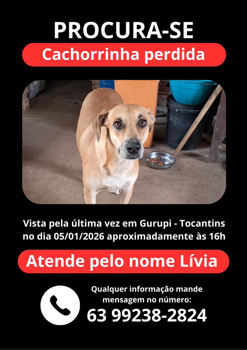 fleursgoogie's tweet image. 🚨 procura-se 🚨

oi, gente! a cachorrinha da minha amiga sumiu na segunda (05/01) por volta das 16h, ela atende pelo nome lívia, caso vocês morem na região ou conhecem alguém que more em TO e tenha visto ela, mandem mensagem no número abaixo.

❗compartilhem, por favor!