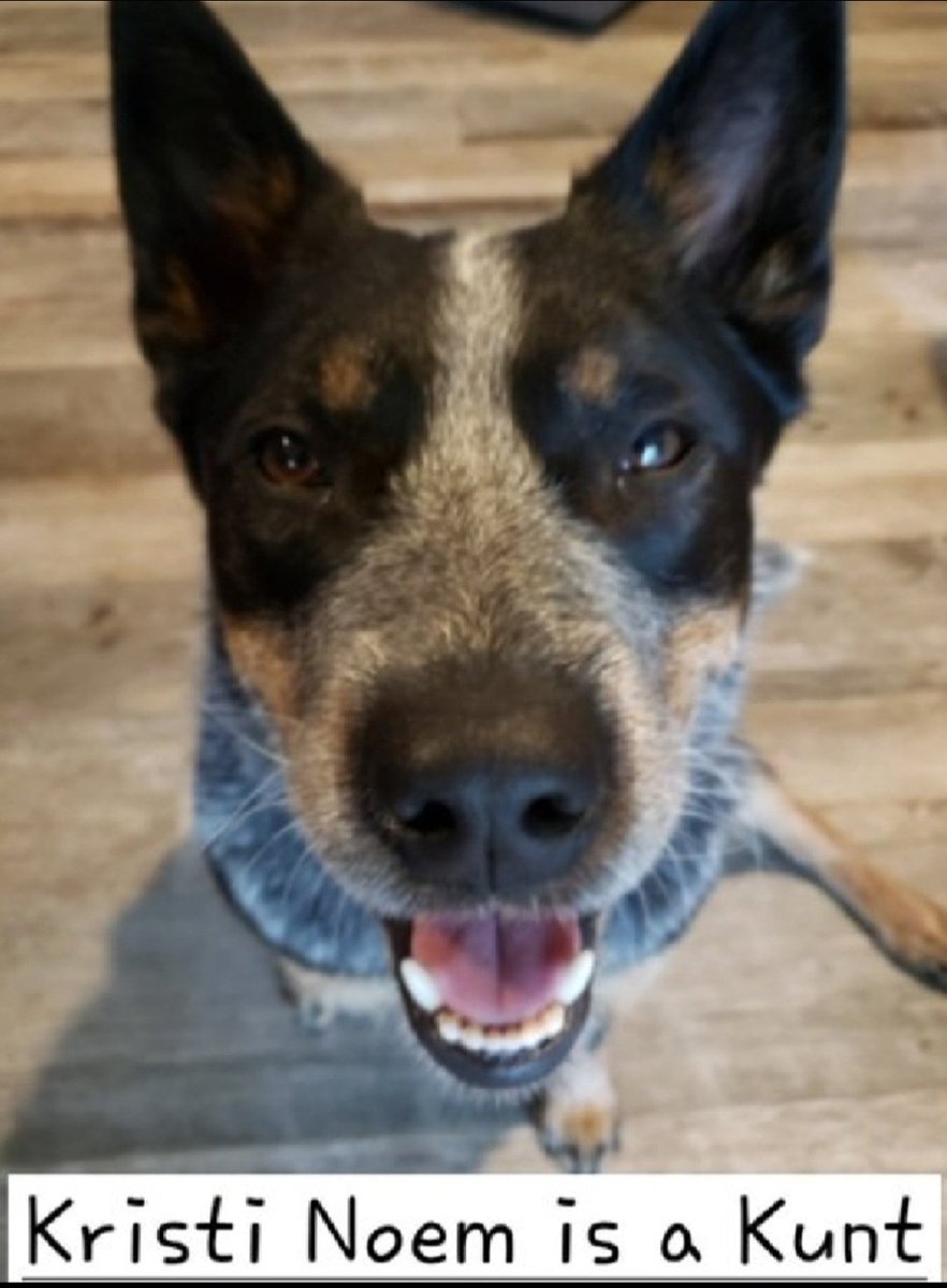 Alien Aunt Farm tweet media