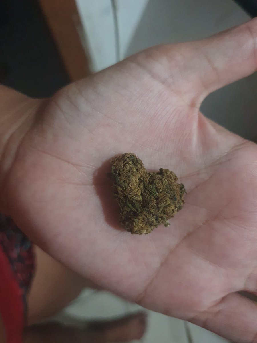 Macoração 🥰