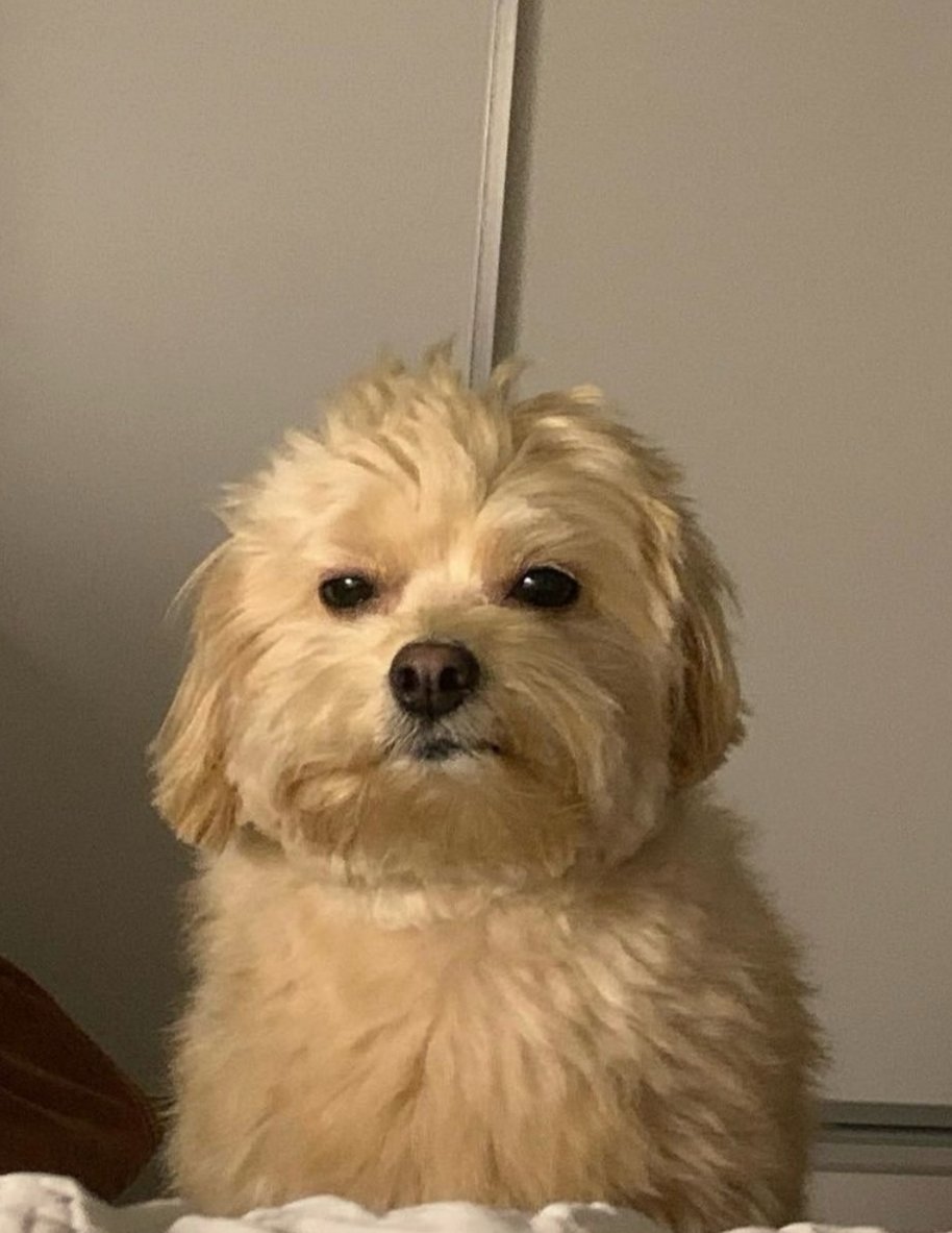 Pagué todo y me quedé mirando el homebanking así