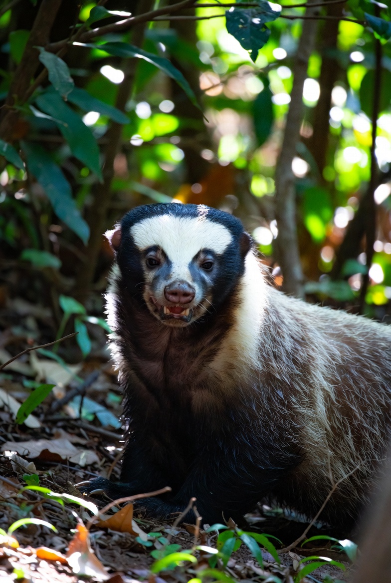 <a href="/BITCOIN_ZAPATA/">Petro Zapata 💊</a> <a href="/Artzchillect/">Artzchillect</a>