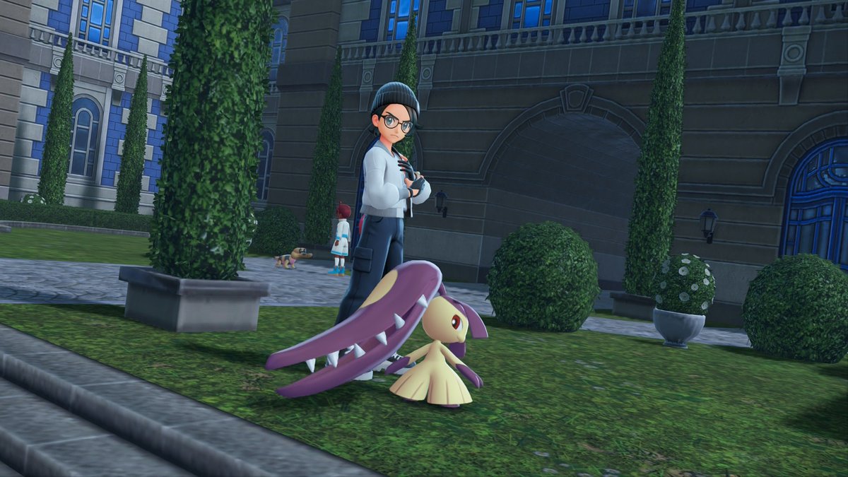 Professor Conifer 🌲 tweet media