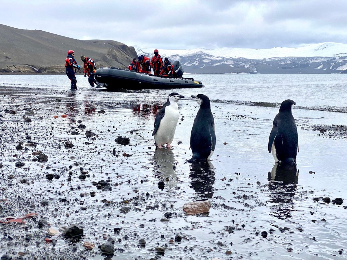 Y tú, ¿Ya has apadrinado tu pingüino Barbijo? 

👇Pincha aquí 👇
ejercito.defensa.gob.es/unidades/Antar…
