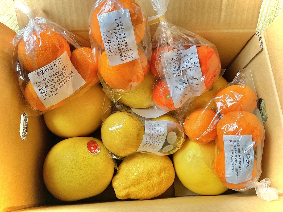 十六郎 tweet media