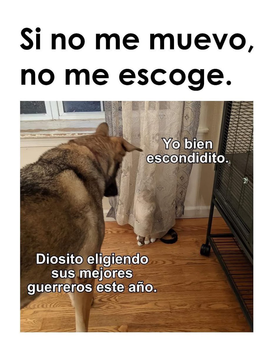 fallitam's tweet image. 