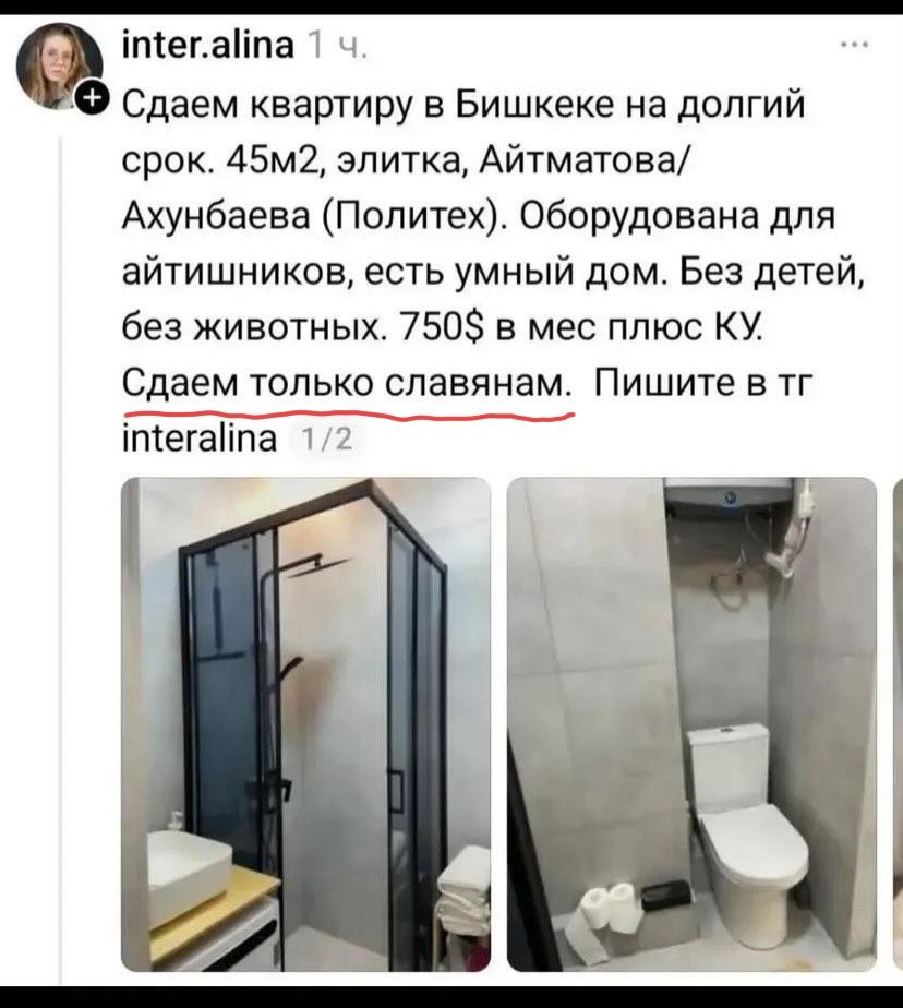 Dan tweet media