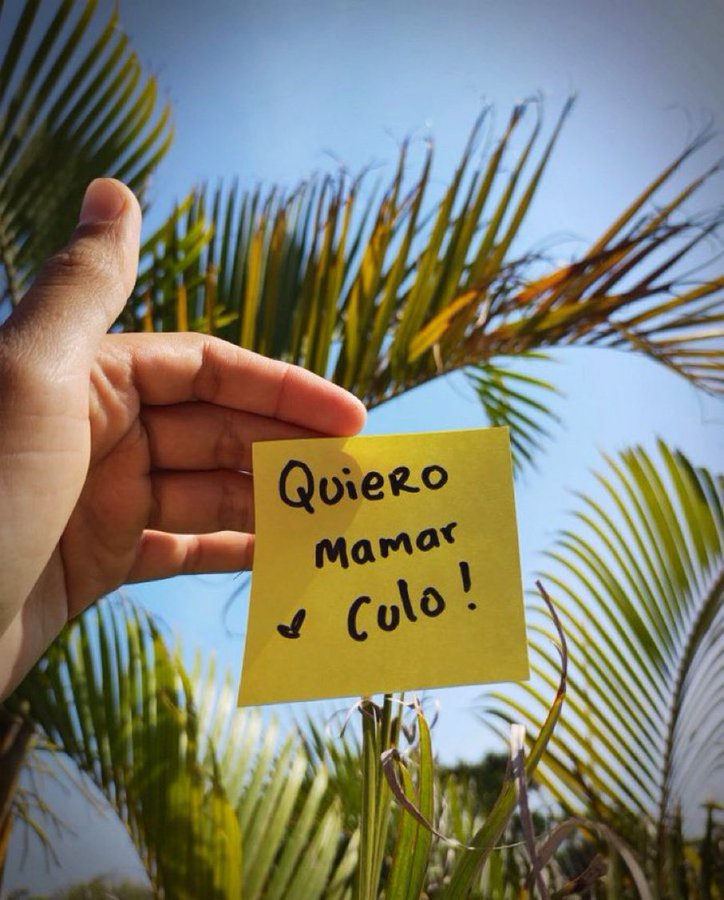 Octavio Campos (@nero1533) on Twitter photo 