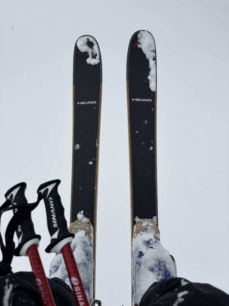 kn (@KadisinKn) / Posts / X