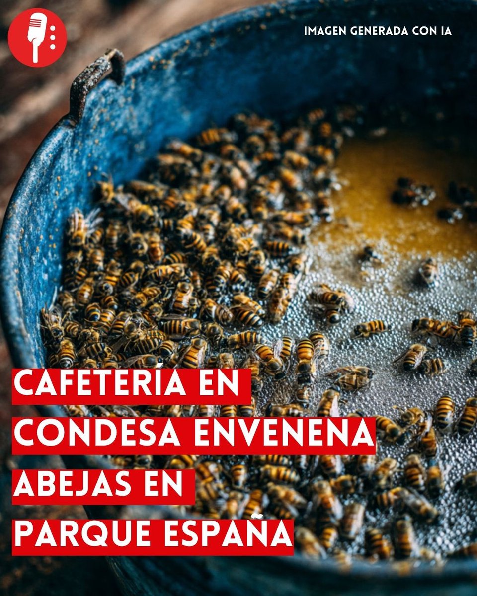ReporterosMX_'s tweet image. ⭕ OJO | CAFETERÍA EN LA COLONIA CONDESA ENVENENA ABEJAS EN PARQUE ESPAÑA

Vecinos y una vendedora del Parque España, en la colonia Condesa, denunciaron que el propietario de una cafetería nueva en la zona habría estado envenenando a abejas polinizadoras que frecuentaban el área.…